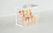 Acrylic Display Case W4