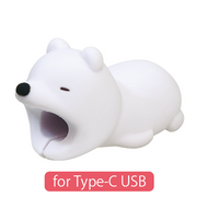 CABLE BITE for Type-C USB I9