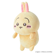 Posture Pal - CHiiKAWA I6