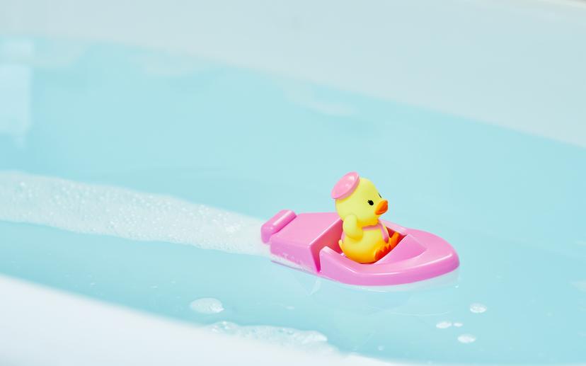 Duck Sailor Boat N2