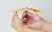 Papillon Origami Airplanes J1