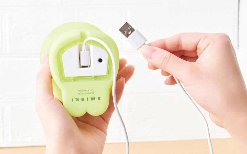 SMISKI Touch Light D1