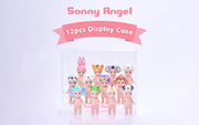 Acrylic Display Case W4