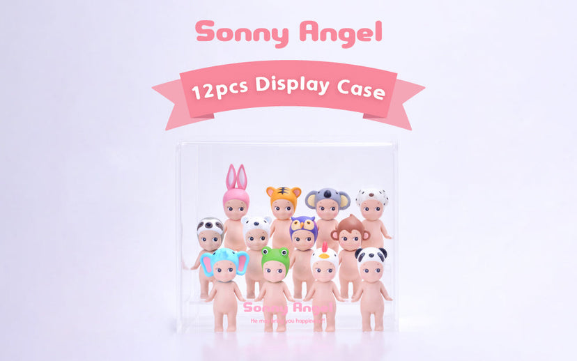 Acrylic Display Case W4