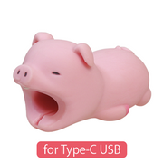CABLE BITE for Type-C USB I9