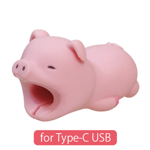 CABLE BITE for Type-C USB I9