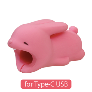 CABLE BITE for Type-C USB I9
